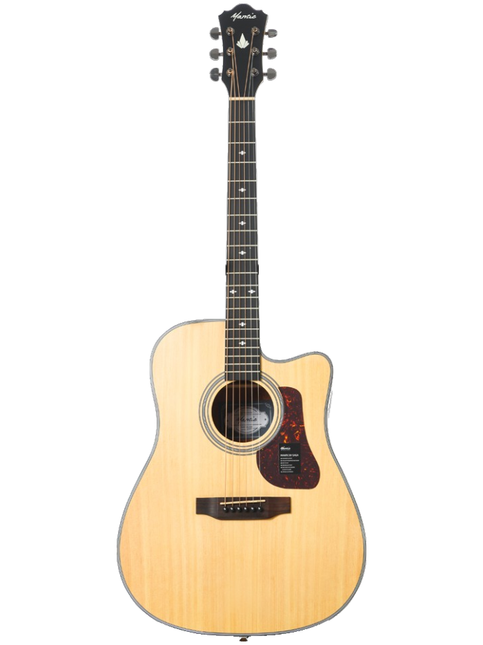 Акустическая гитара Mantic AG-370C — общий вид
