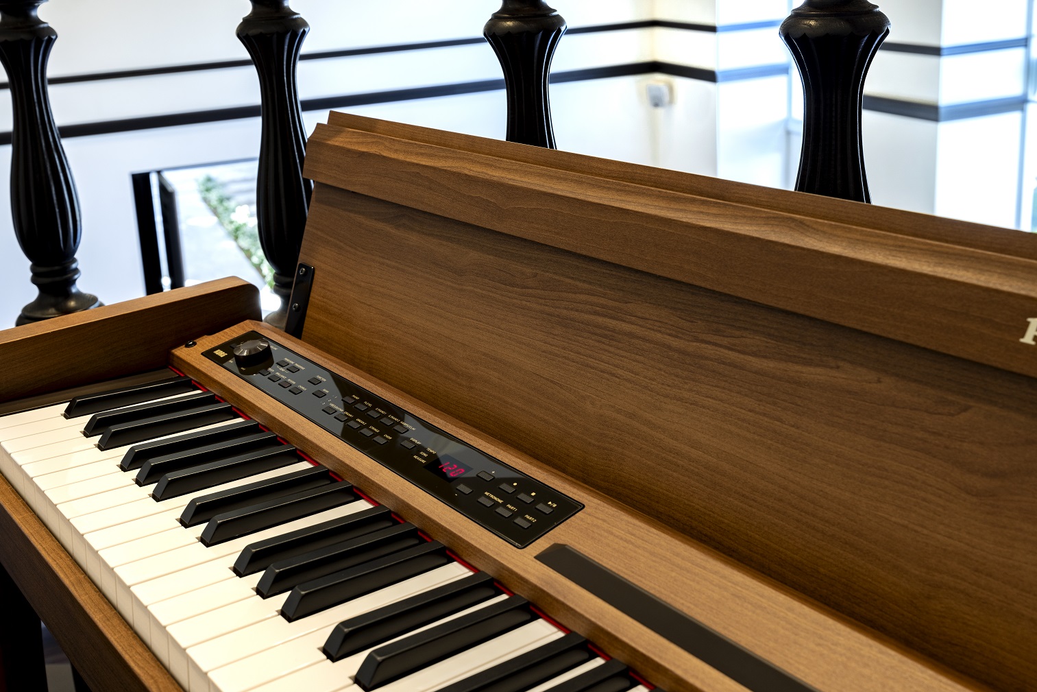 Цифровое пианино Korg POETRY - фото 2