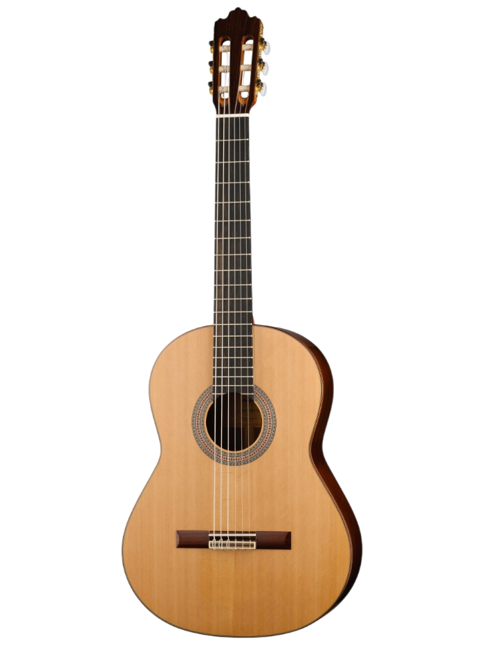 Классическая гитара Prodipe JMFSOLOIST700 — общий вид