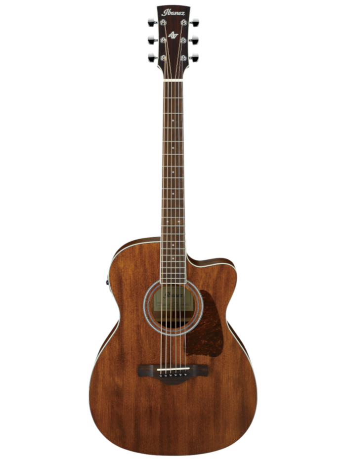 Электроакустическая гитара Ibanez AC340CE-OPN — общий вид