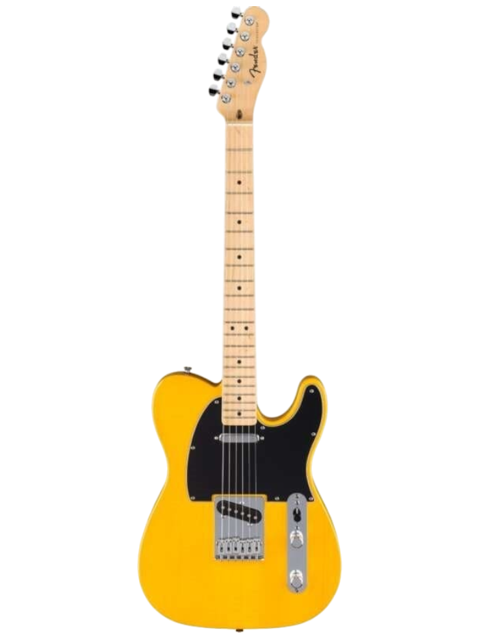 Электрогитара Fender Standard Telecaster MN Butterscotch Blonde — общий вид