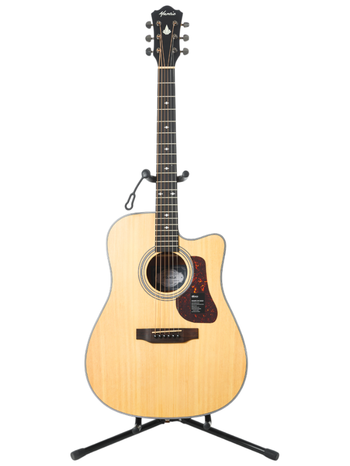 Акустическая гитара Mantic AG-370C — общий вид