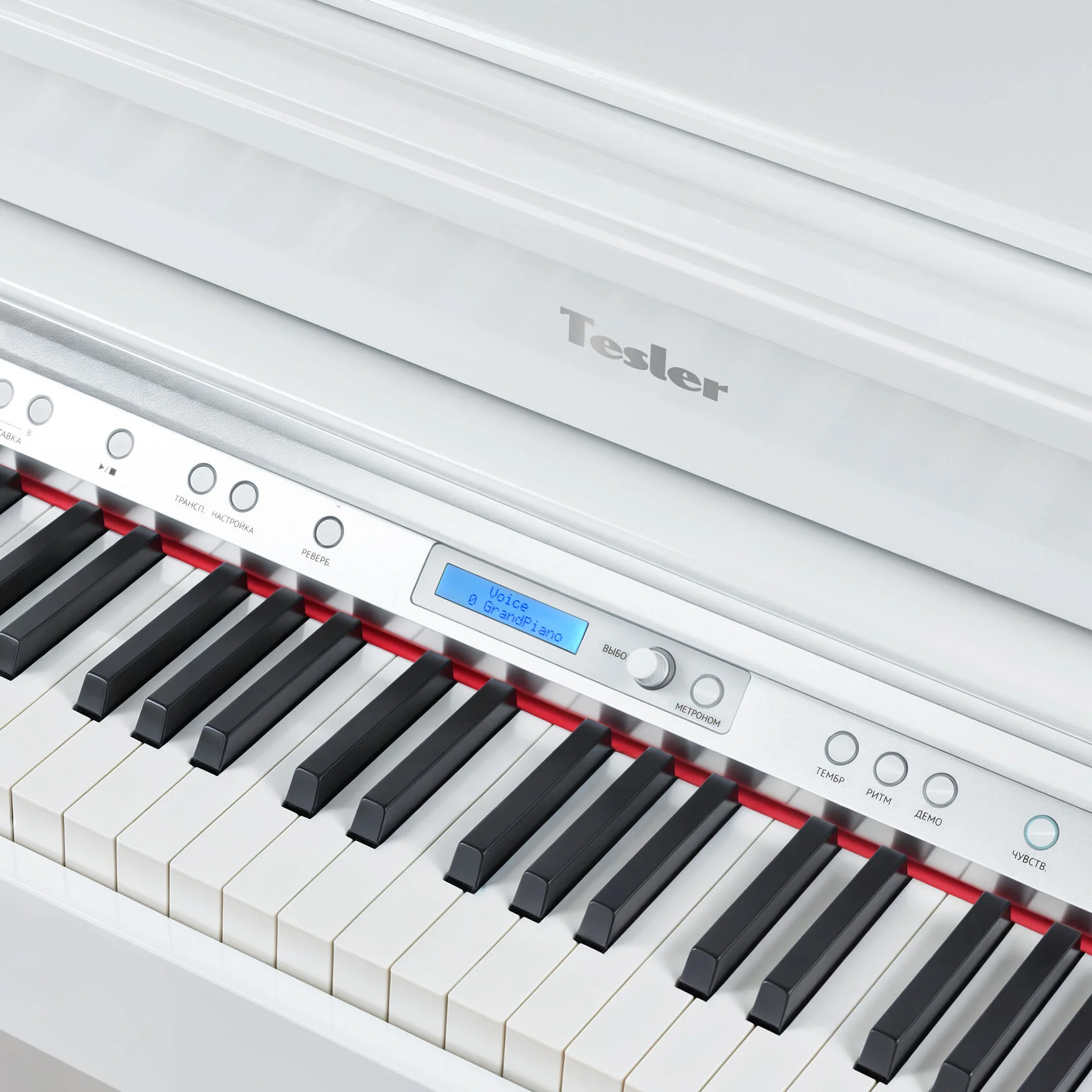 Цифровое пианино Tesler STZ-8870 Royal White - фото 5