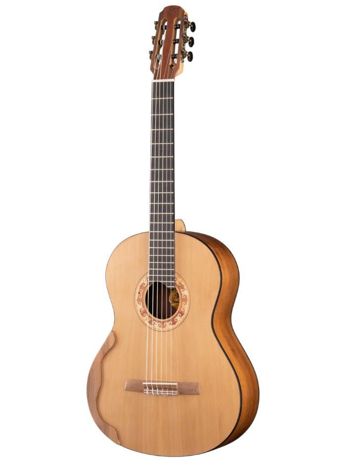Классическая гитара Doff D031C — общий вид