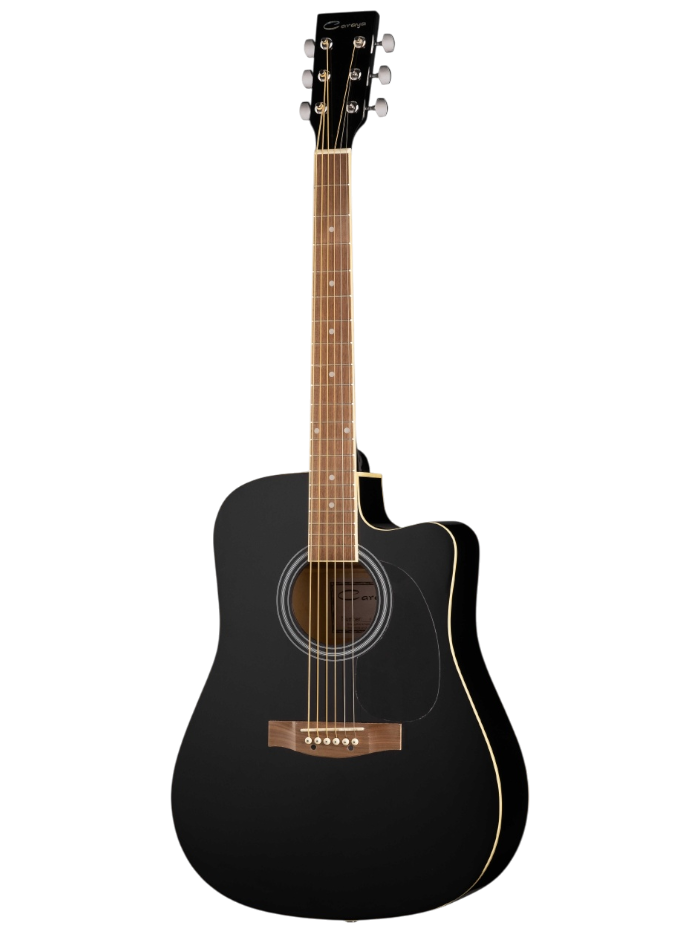 Акустическая гитара Caraya F601-BK — общий вид