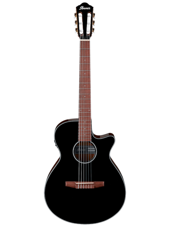 Классическая гитара Ibanez AEG50N-BKH — общий вид