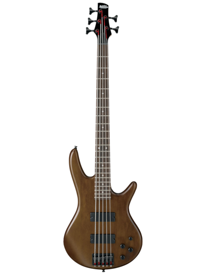 Бас-гитара Ibanez GSR205B-WNF — общий вид