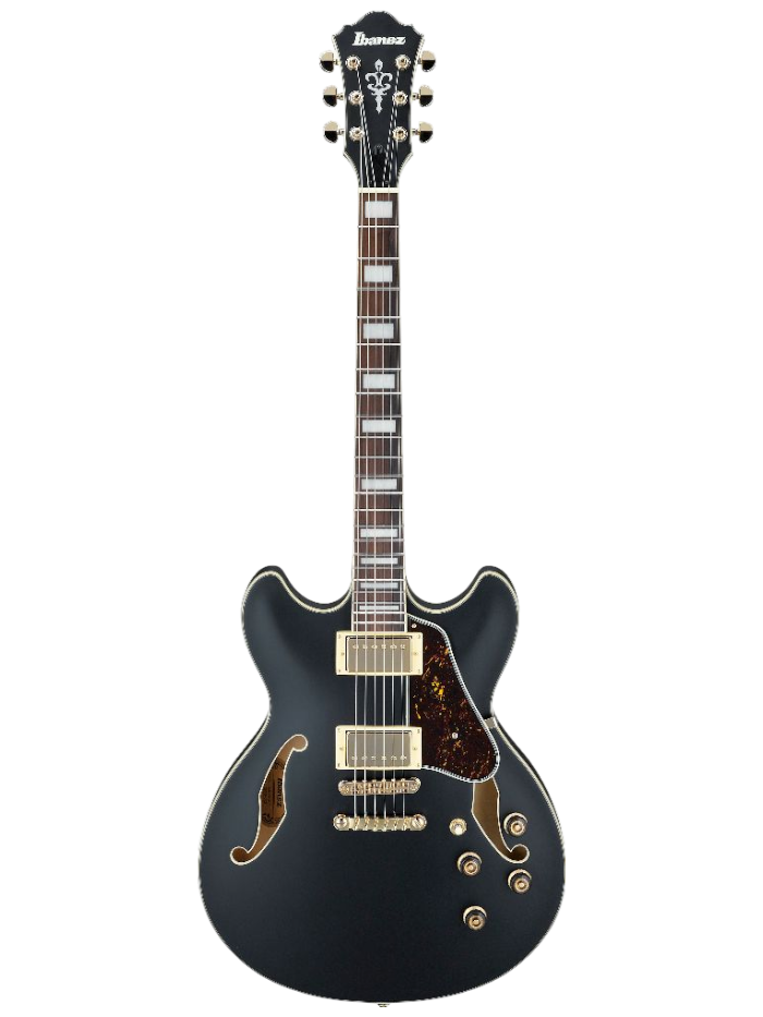 Полуакустическая гитара Ibanez AS73G-BKF — общий вид