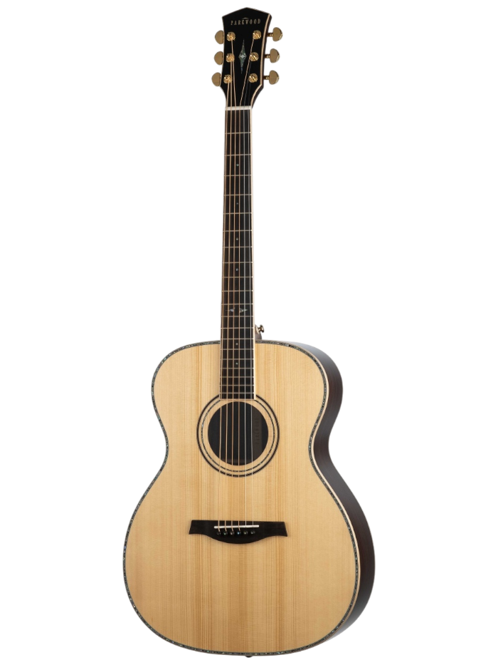 Акустическая гитара Parkwood P820ADK-WCASE-NAT — общий вид