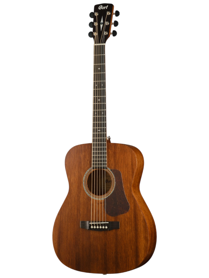 Электроакустическая гитара Cort L450CL-NS — общий вид