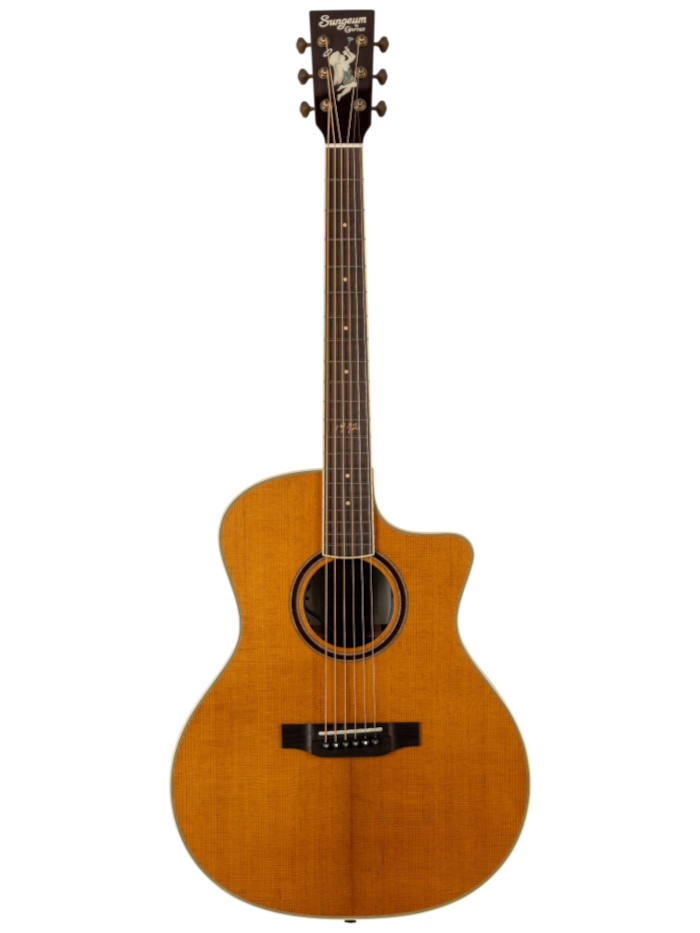 Электроакустическая гитара Crafter SungEum G-50th ce VVS — общий вид