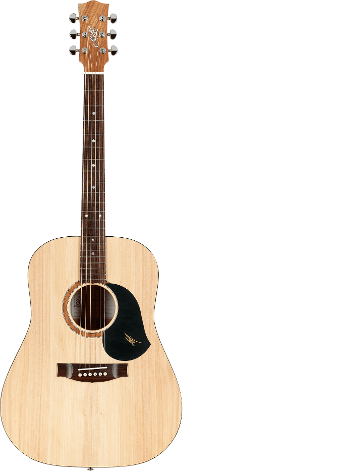 Акустическая гитара Maton S60 — общий вид