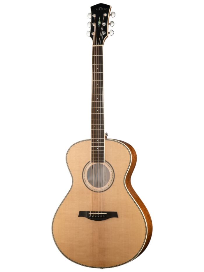 Акустическая гитара Parkwood P680-WCASE-NAT — общий вид