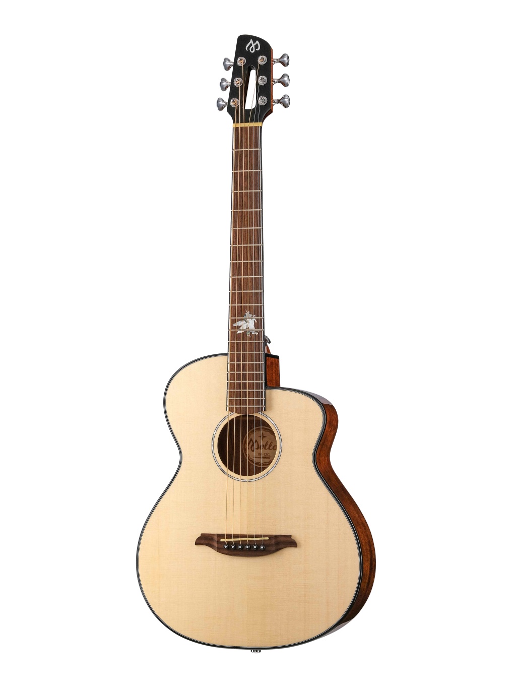 Акустическая гитара Mollo Guitar TM-12C — детальное фото