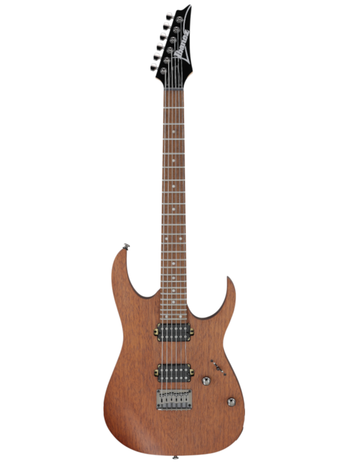 Электрогитара Ibanez RG421-MOL — общий вид