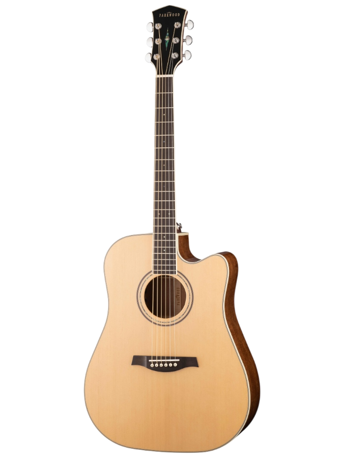 Электроакустическая гитара Parkwood S66-W/B — общий вид
