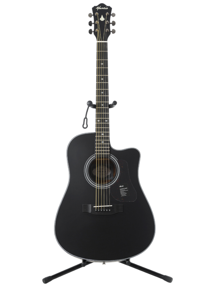 Акустическая гитара Mantic AG-370C BK — общий вид