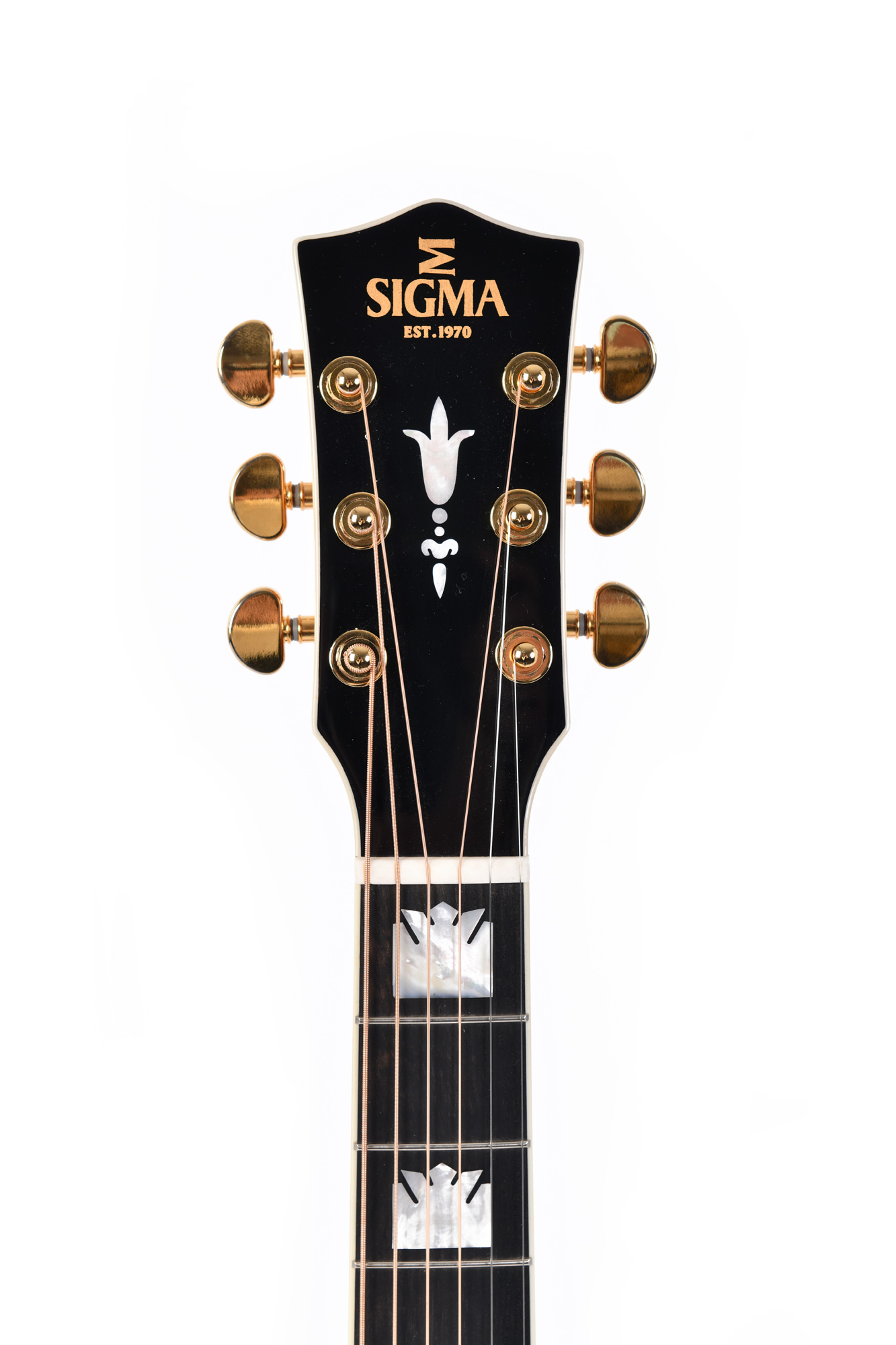 Электроакустическая гитара Sigma SGJA-SG200 — корпус и детали - фото 3