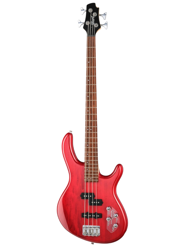 Бас-гитара Cort Action-Bass-Plus-TR — общий вид