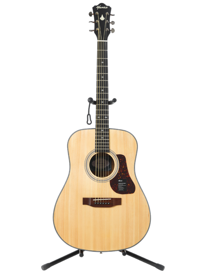 Акустическая гитара Mantic AG-370 — общий вид