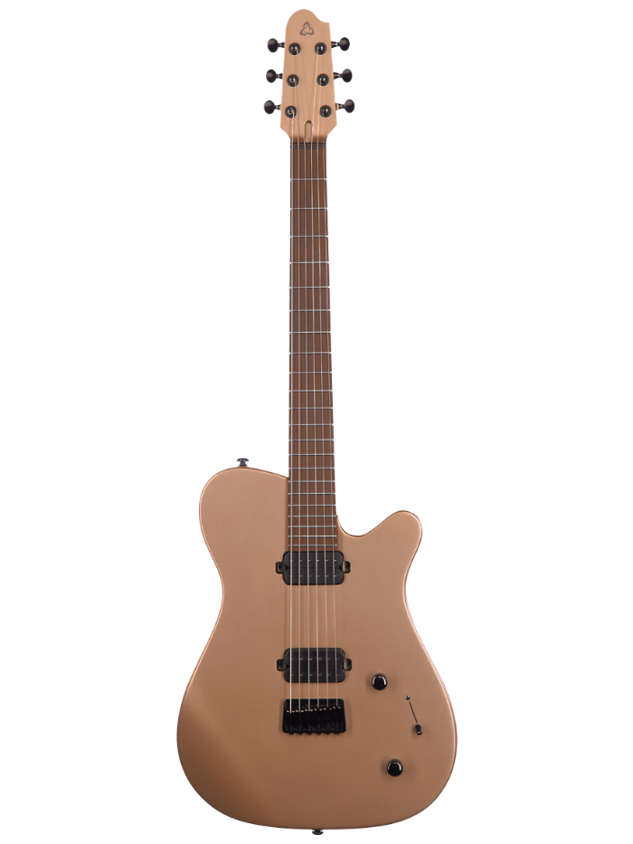 Электрогитара Covenant CUSTOM MODEL AE MGD — общий вид