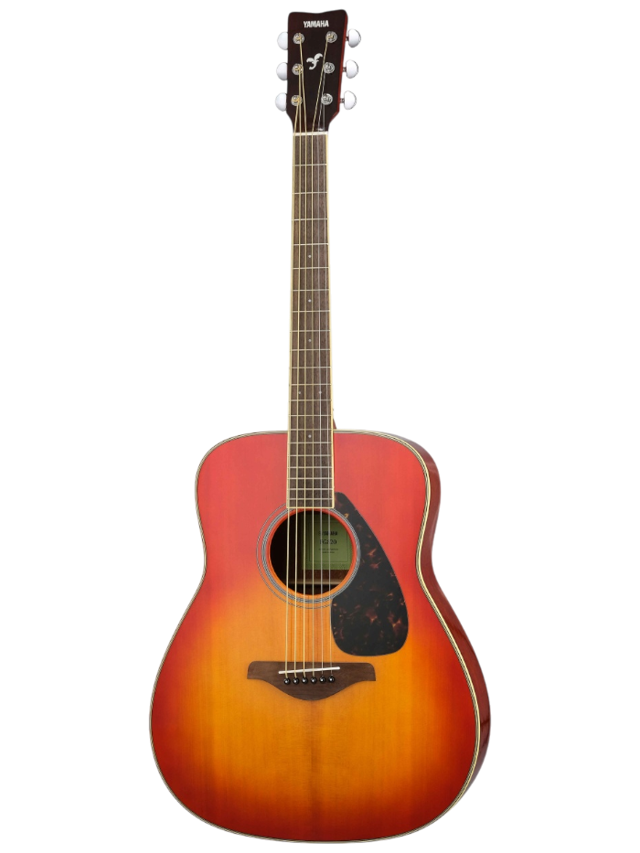 Акустическая гитара Yamaha FG820-AB — общий вид