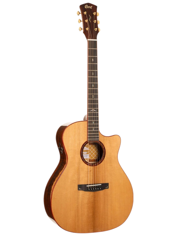 Электроакустическая гитара Cort Gold-A10-Cocobolo-WCASE-NAT — общий вид