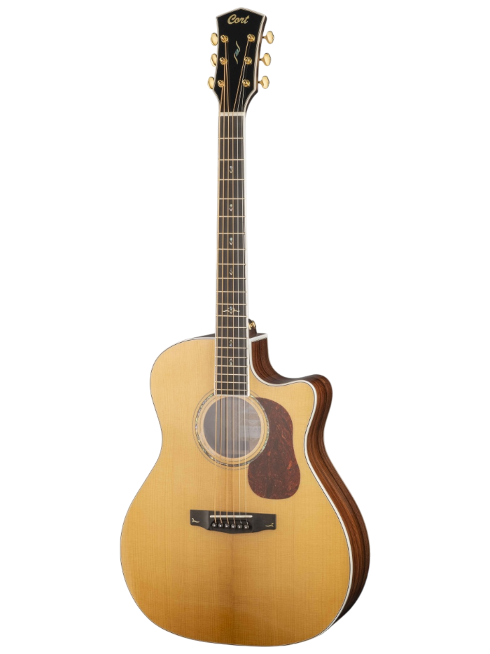 Электроакустическая гитара Cort Gold-A8-WCASE-NAT — общий вид