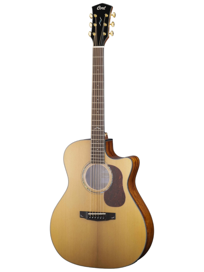 Электроакустическая гитара Cort Gold-A6-WCASE-NAT — общий вид