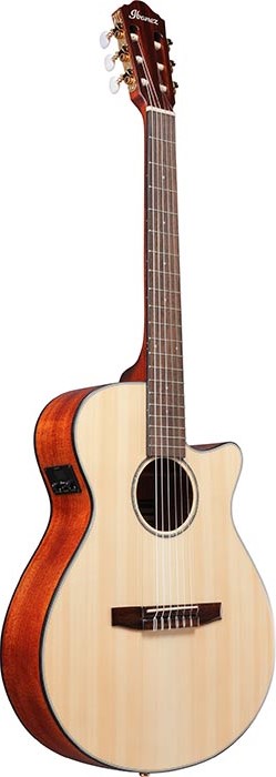 Классическая гитара Ibanez AEG50N-NT — корпус и детали - фото 1
