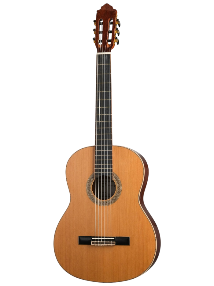 Классическая гитара Caraya SCS-826 — общий вид