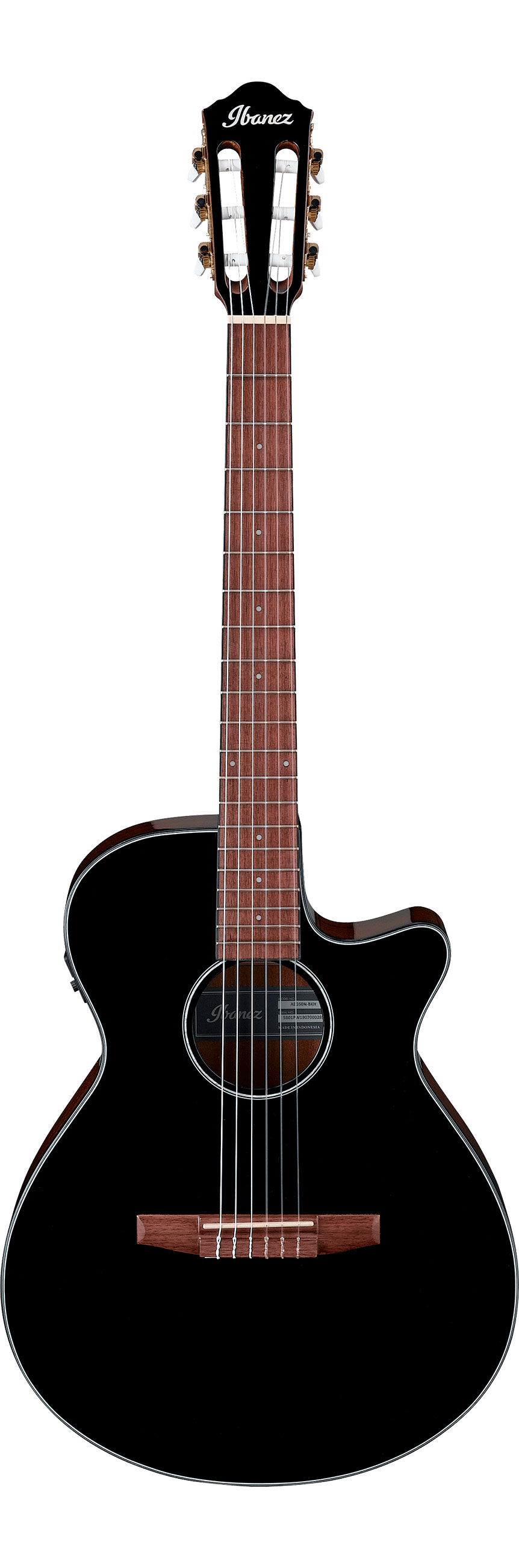 Классическая гитара Ibanez AEG50N-BKH — корпус и детали