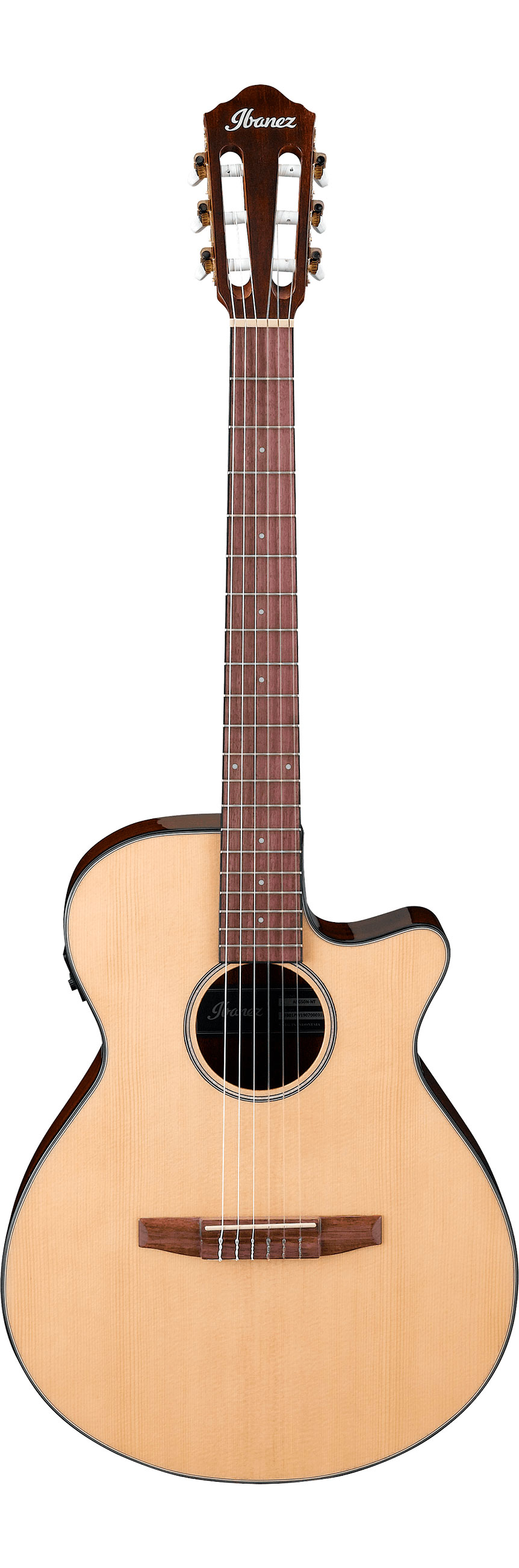 Классическая гитара Ibanez AEG50N-NT — корпус и детали
