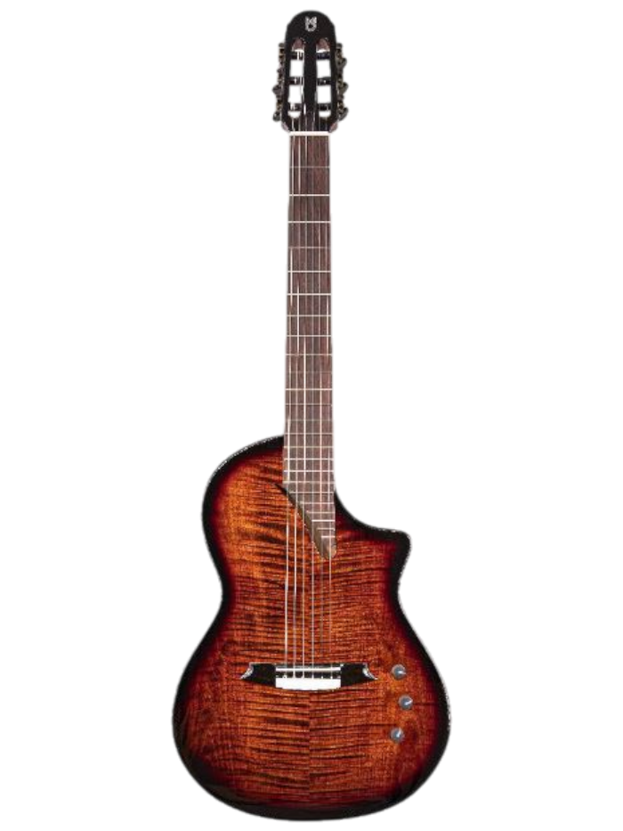 Классическая гитара Martinez Hispania-Cognac — общий вид