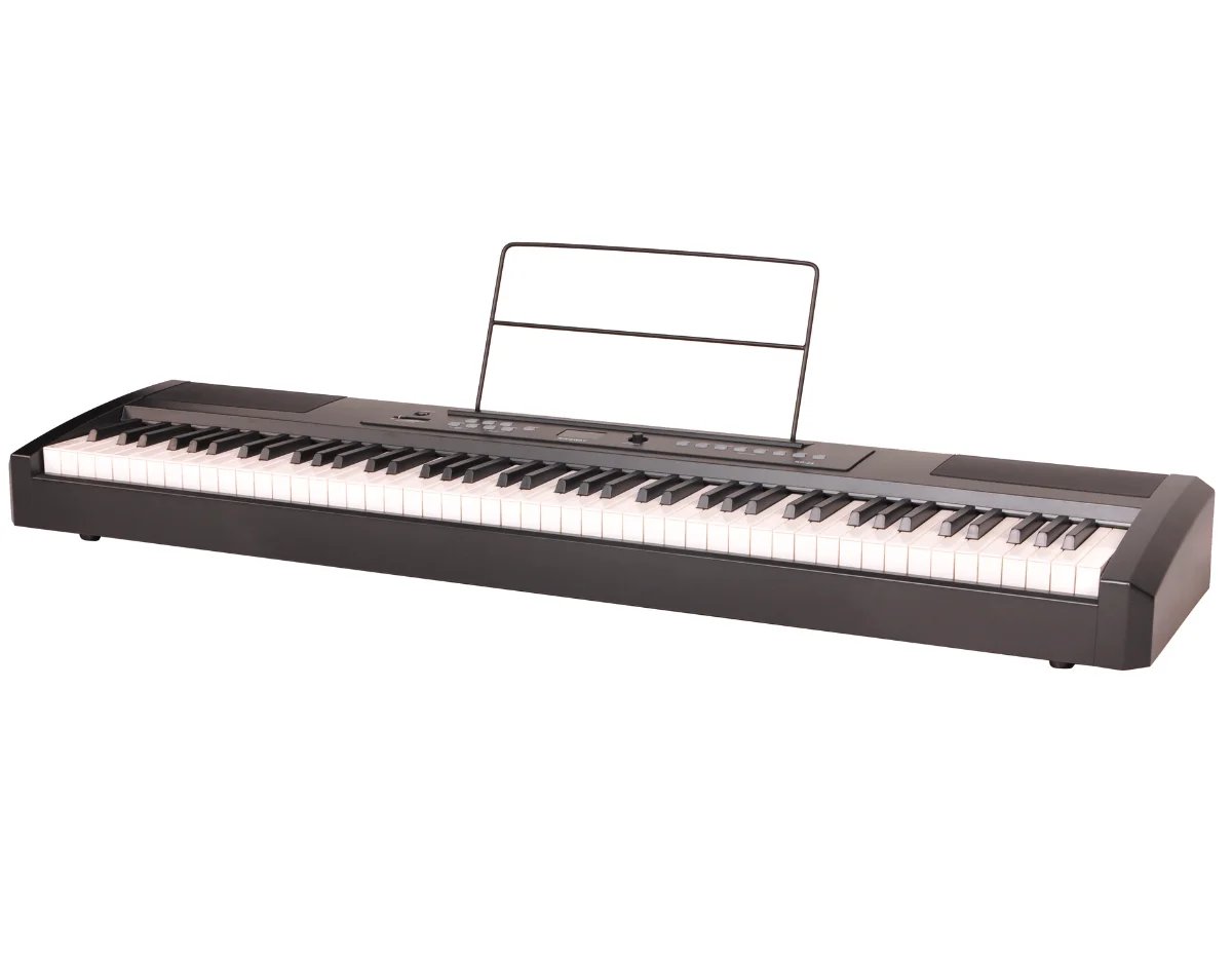 Цифровое пианино Ringway RP-25 - Главное