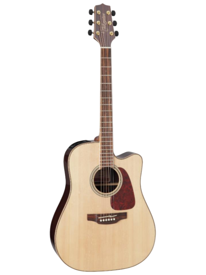 Электроакустическая гитара Takamine G90 Series GD93CE — общий вид