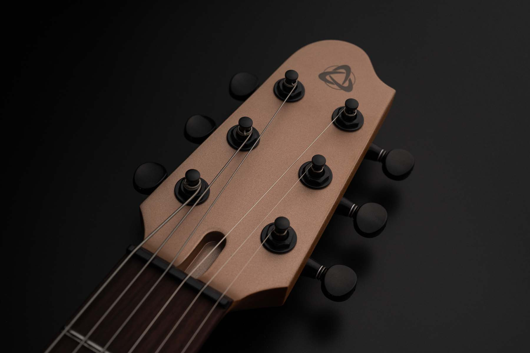 Электрогитара Covenant CUSTOM MODEL AE MGD — корпус и детали - фото 3