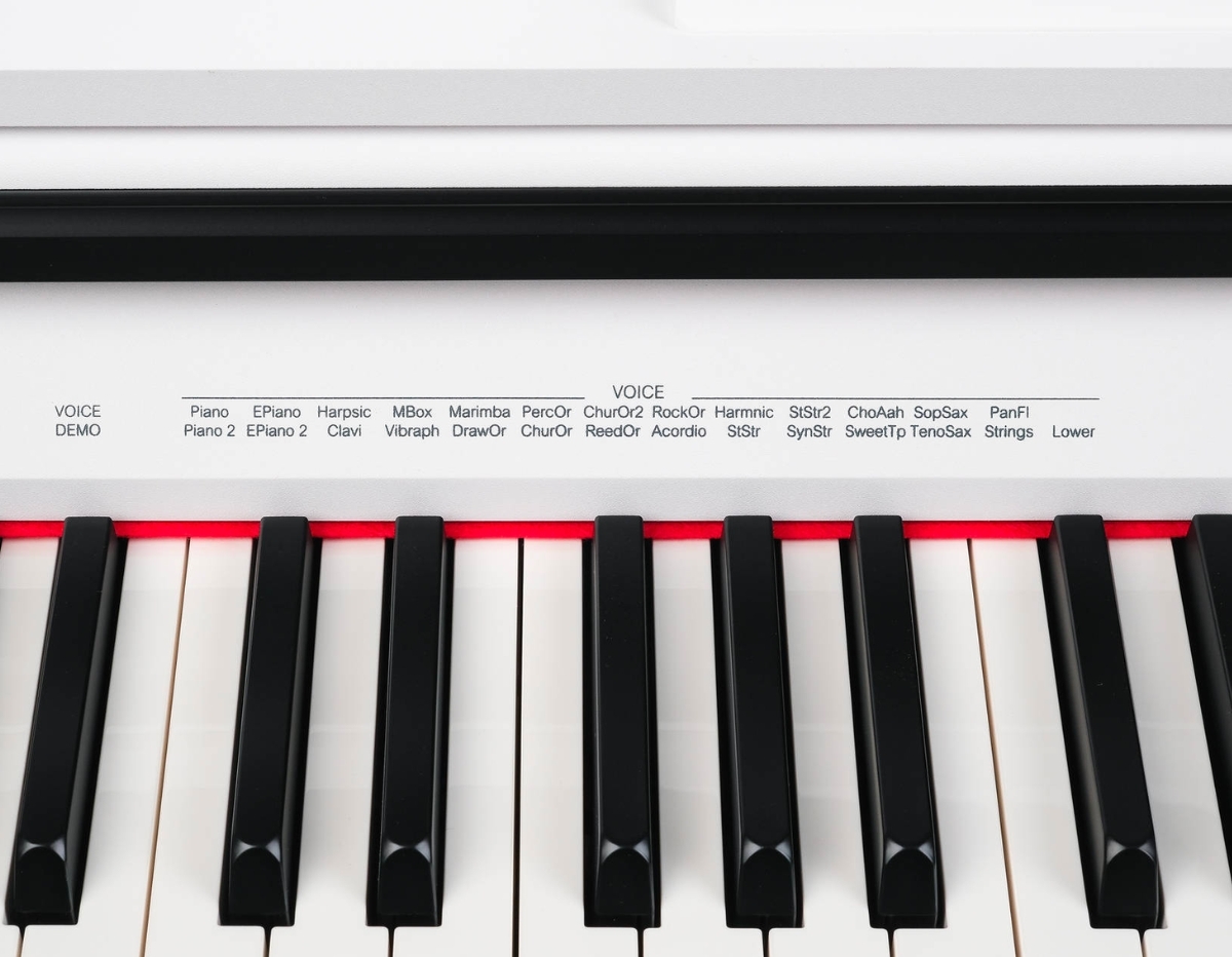 Цифровое пианино Medeli DP250RB GW - фото 3