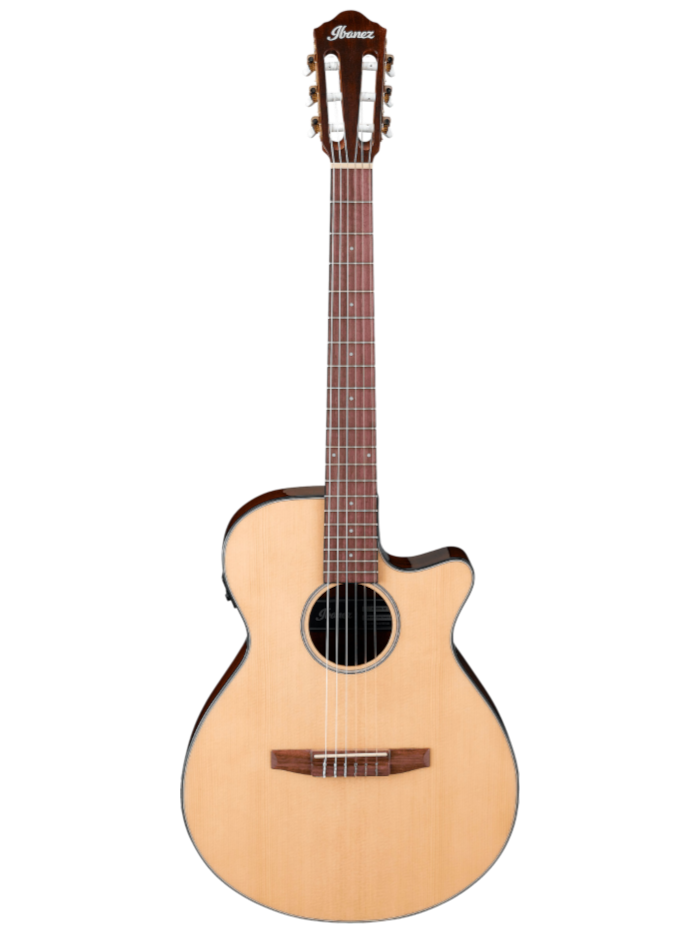 Классическая гитара Ibanez AEG50N-NT — общий вид
