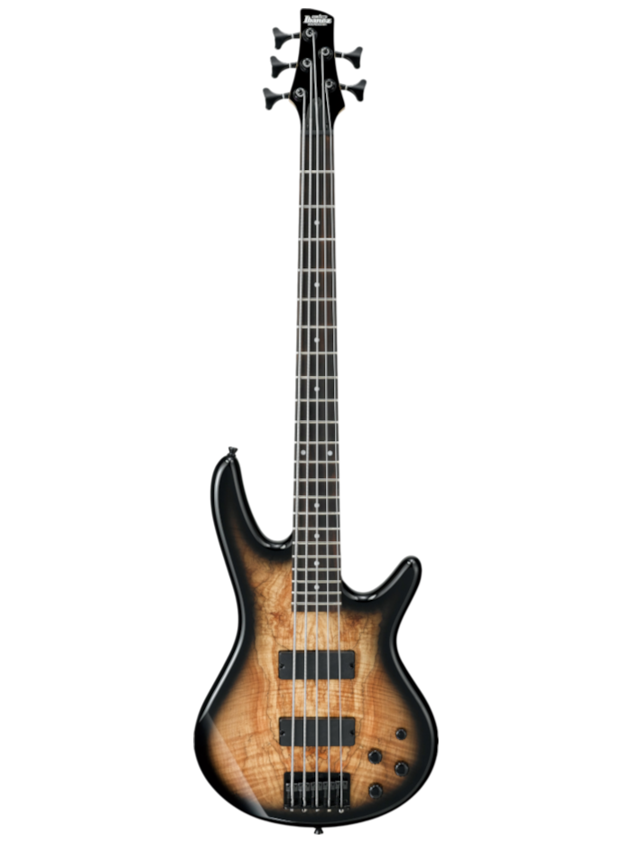 Бас-гитара Ibanez GSR205SM-NGT — общий вид