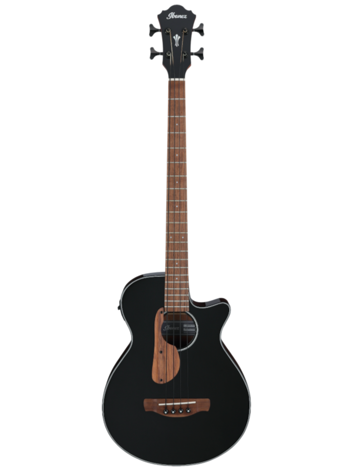 Электроакустическая бас-гитара Ibanez AEGB24E-BKH — общий вид