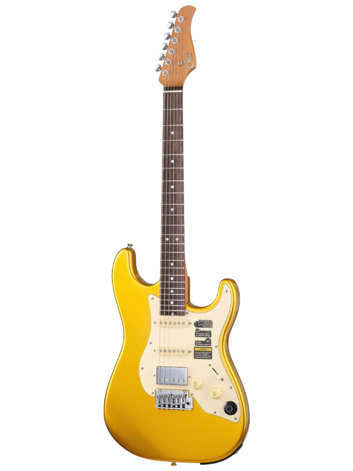 Электрогитара GTRS S800-Standard-800-GD — общий вид