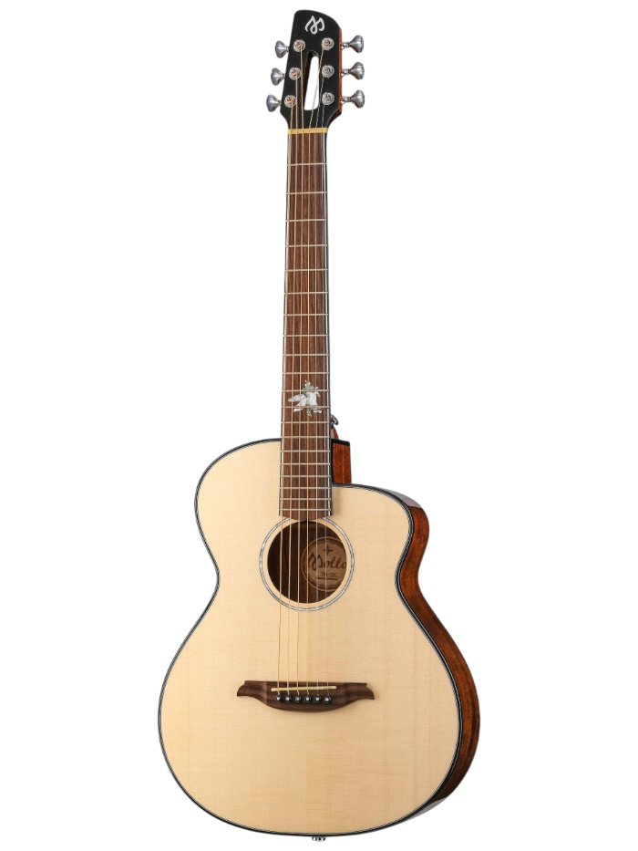 Акустическая гитара Mollo Guitar TM-12C — общий вид