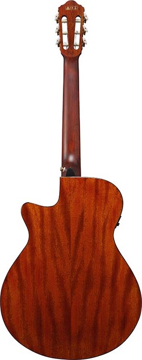 Классическая гитара Ibanez AEG50N-BKH — корпус и детали - фото 2
