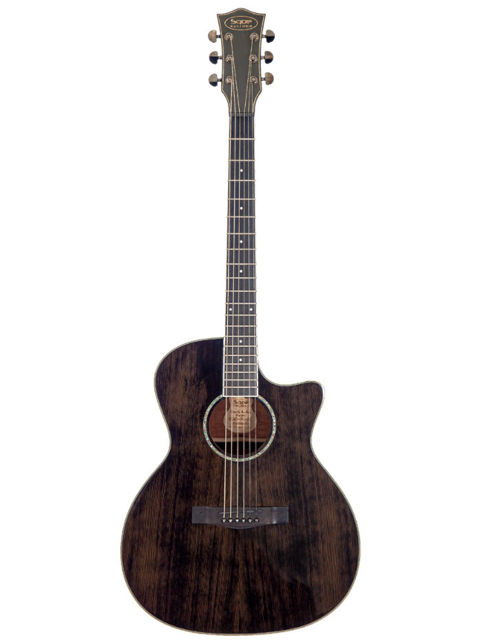 Акустическая гитара SQOE S340-FG-BK Set — общий вид