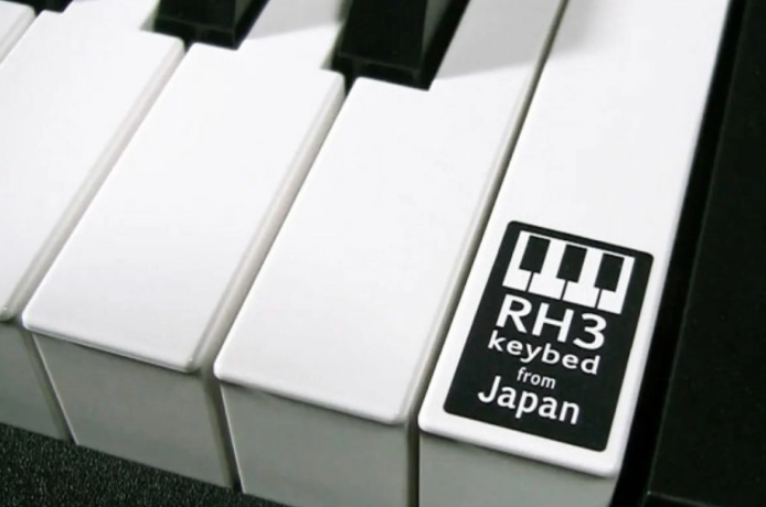 В моделях G1 и C1 стоит одинаковая клавиатура RH3