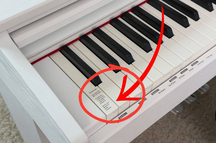 Система управления ORLA CDP-1