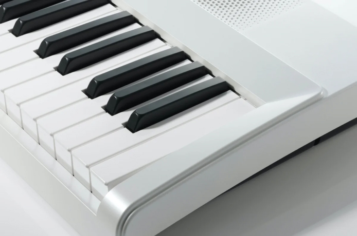 В Korg l1 установлена облегченная клавиатура LS