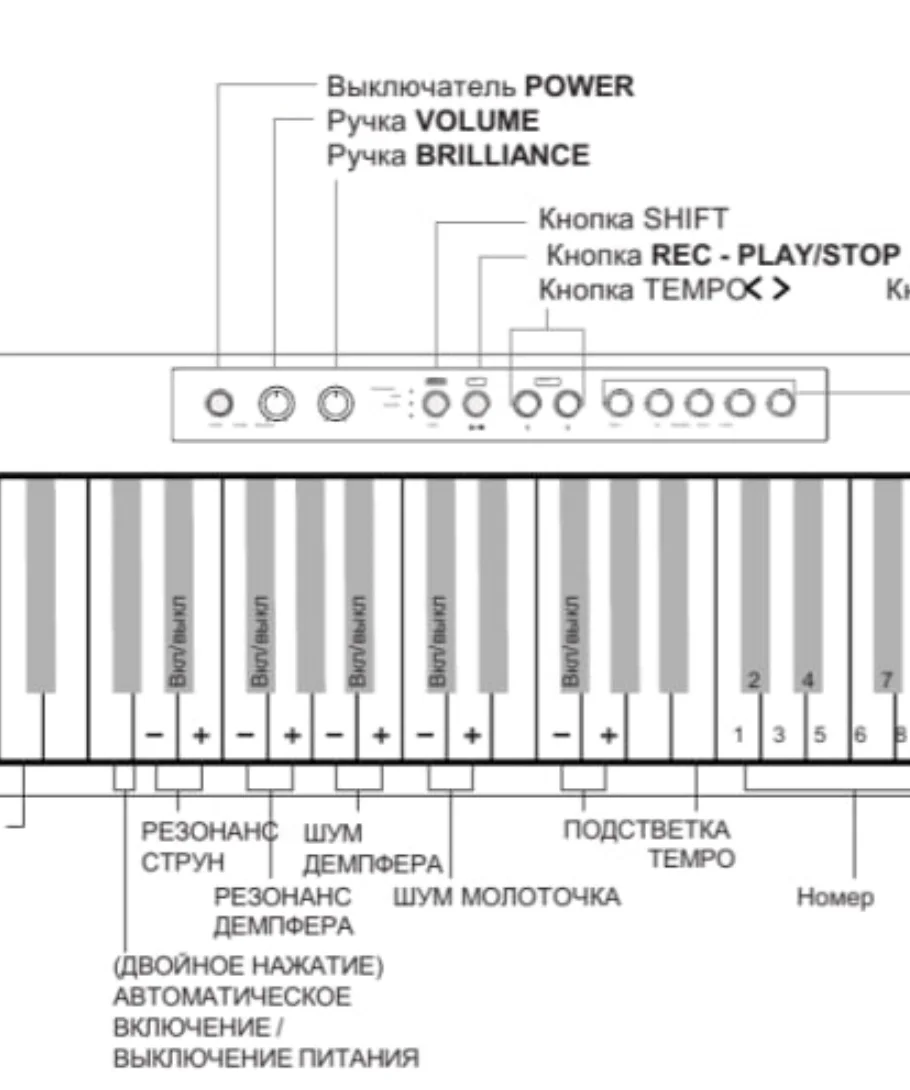 В CP203 можно настраивать степень акустических призвуков, или же вовсе их отключить