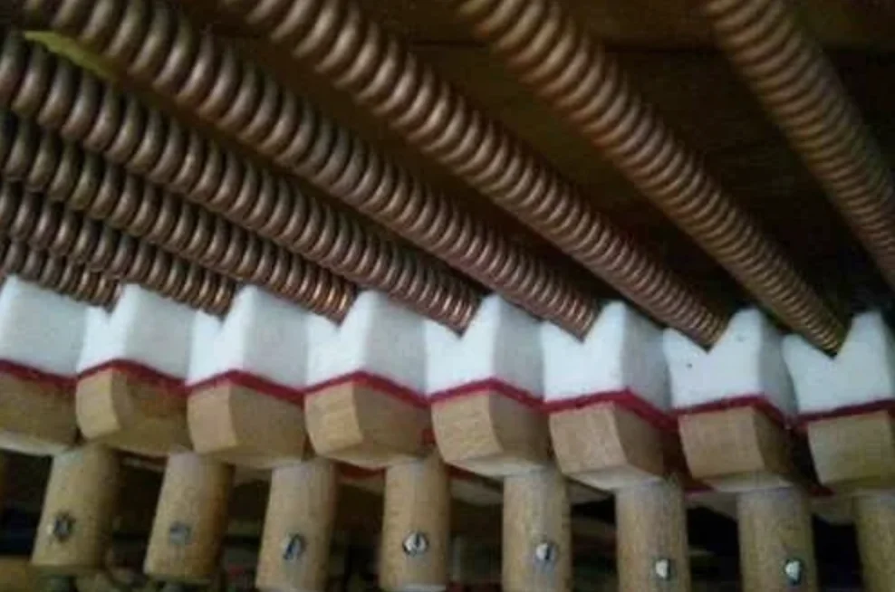 Вот эти штучки из шерсти глушат струны, при их касании и возникает специфический призвук*